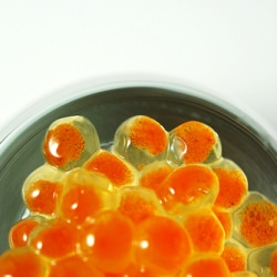 How to Make Trout Caviar