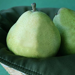 Harry & David Royal Riviera Pears