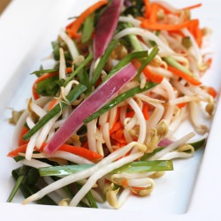 Pickled Bean Sprouts