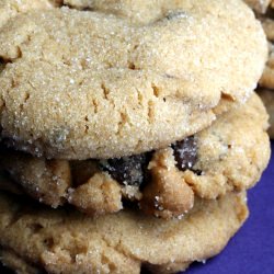 Peanut Butter Chocolate Chip Cookie