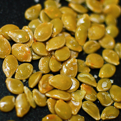 Squash Seeds