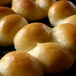 Buttery Rolls Fresh from the Oven