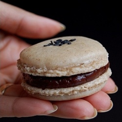 Sesame and Cinnamon Macarons