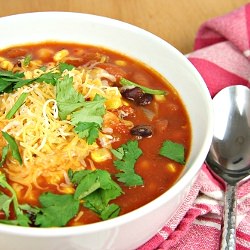 Feaston’s Salsa Soup