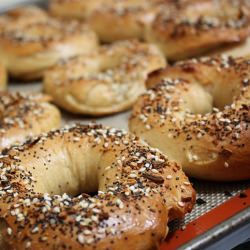 New York Style Everything Bagels