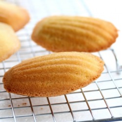 Orange Madeleine Cookies