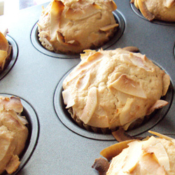 Coconut Cranberry Muffins