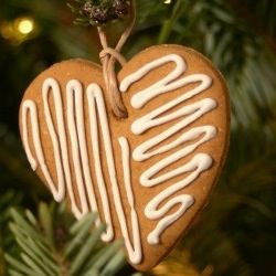 Squiggly Gingerbread Heart Cookie