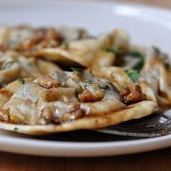 Eggplant Ravioli