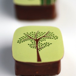 Exquisite Handmade Chocolates