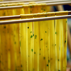 Homemade Herb Pasta