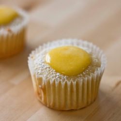 Meyer Lemon Cupcakes