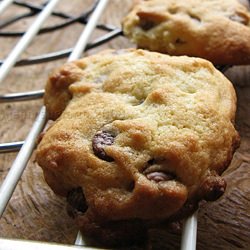 Chocolate Chip Macadamia Cookies