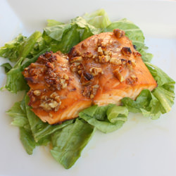 Honey Pecan Glazed Salmon