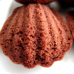 Chocolate Olive Oil Madeleines