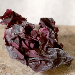 Dulse