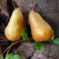 Ginger Roasted Pears with Candied Almonds