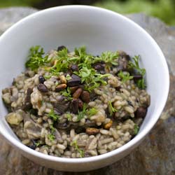 Vegetarian Tri Mushroom Risotto