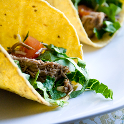 Gluten Free Shredded Beef Tacos