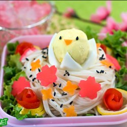 Somen Bird’s Nest Bento (432)