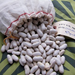 Cannellini Beans