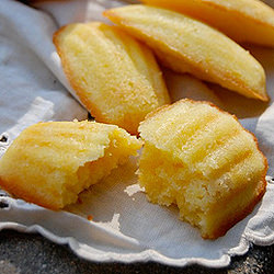 Lemon Madeleines