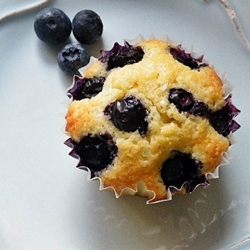 Blueberry Cornmeal Muffins