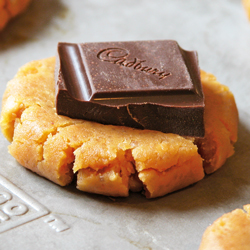 Flourless Peanut Butter Cookies