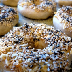 Everything Bagels