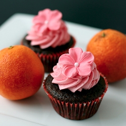 Chocolate & Blood Orange Cupcakes