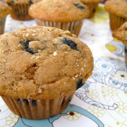 Whole Wheat Blueberry Muffins