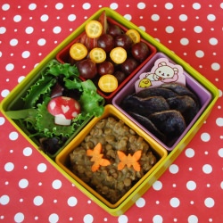 Lentil Curry Bento