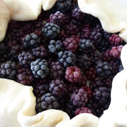 Bramble Pie