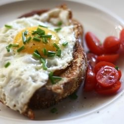 Fried Egg Sandwich