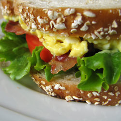 Egg Salad Recipe