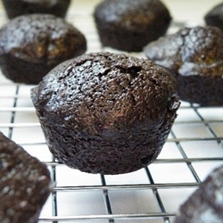 Flourless Chocolate Cakes