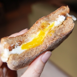 My Beloved Egg Sandwich