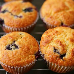 Orange Bluberry Muffins