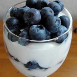 Honey Greek Yogurt