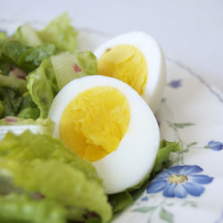 The Perfect Hard-Boiled Egg