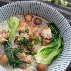 Chinese Chicken Noodle Soup