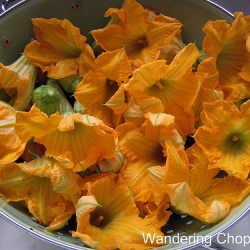 Shrimp-Stuffed Squash Blossoms