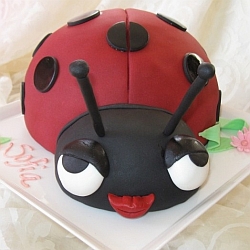 Ladybug Cake