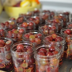 Pickled Grapes