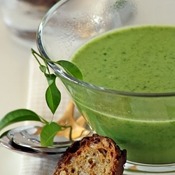 Spinach Soup