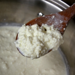 Homemade Ricotta Curds