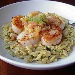 Sweet Fennel Scallops