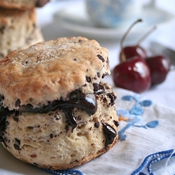 Chocolate Chip Shortcakes