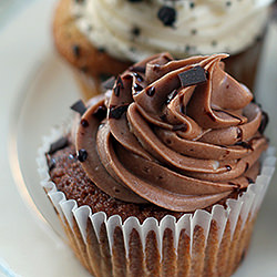 Double Chocolate Cupcakes