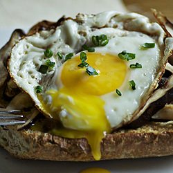 Wasabi Mayo and a Fried Egg